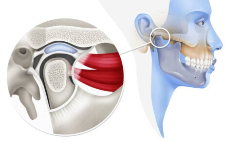 Articulacion Temporomandibular